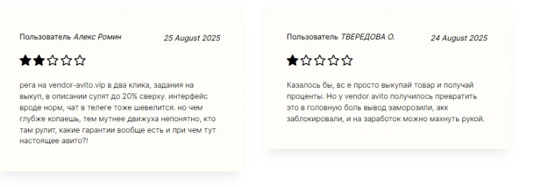 Выкуп товара на «Авито»: как работают клон-сайты и что делать