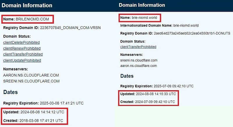 Обзор официальных данных и особенностей регулирования брокера Brileniom D