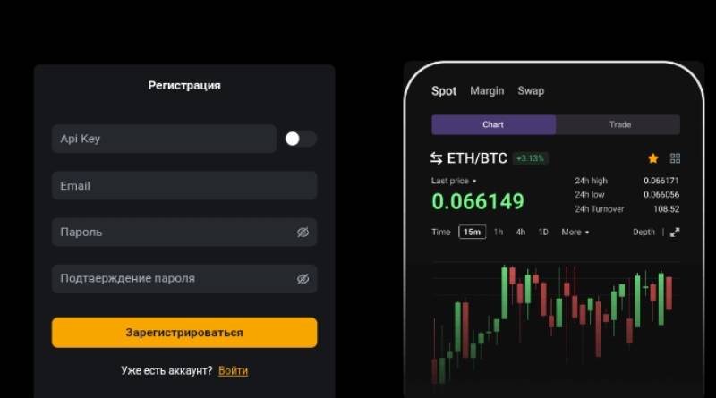 Connect Api Pro