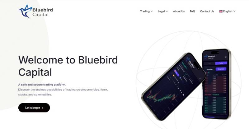 Bluebird Capital