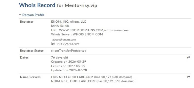 Mentorisy