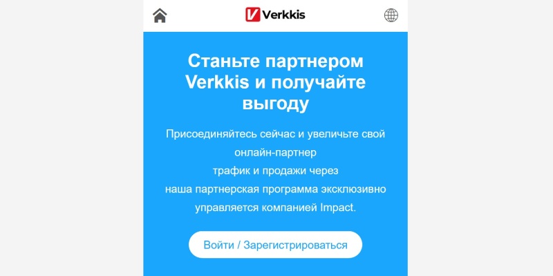 Verkkis 