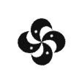 Celestra Group