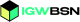 IGWbsn logo