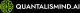 Quantalismind AI